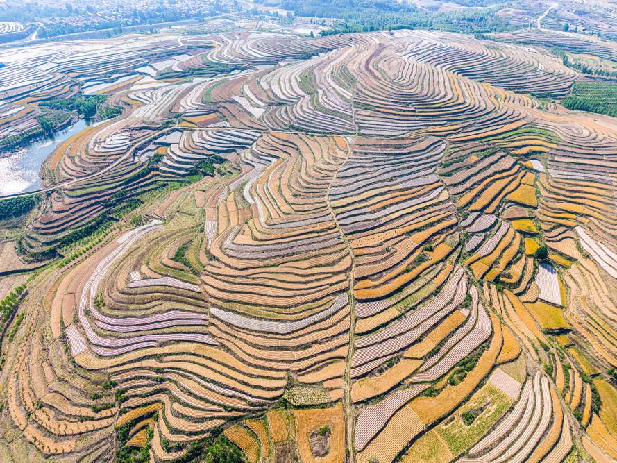 
山东日照：大地调色盘绘就生态画卷















